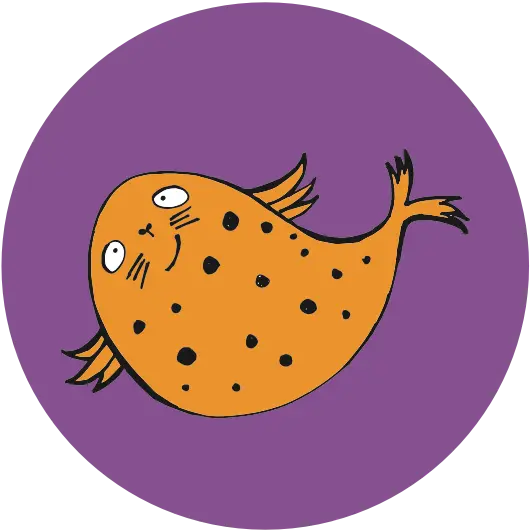 Spotted Seal